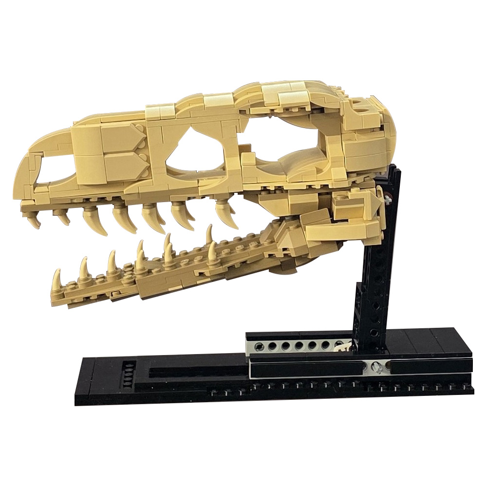 MOC Velociraptor Fossil Skull  - огляд і ціна Fossil Replica Display