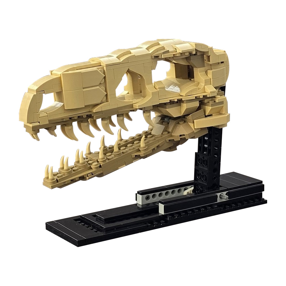 MOC Velociraptor Fossil Skull  - огляд і ціна Fossil Replica Display