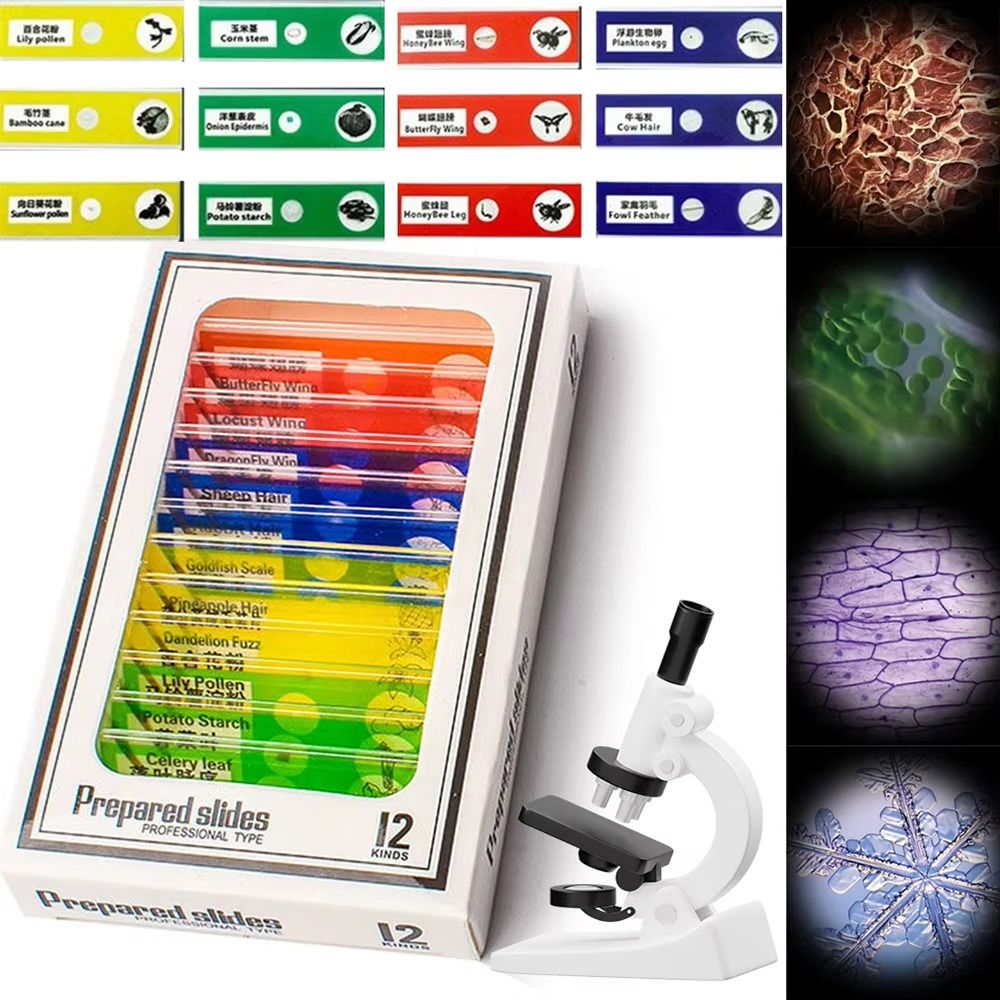 1Pcs 60-120X Pocket Microscope - огляд і ціна Science Max