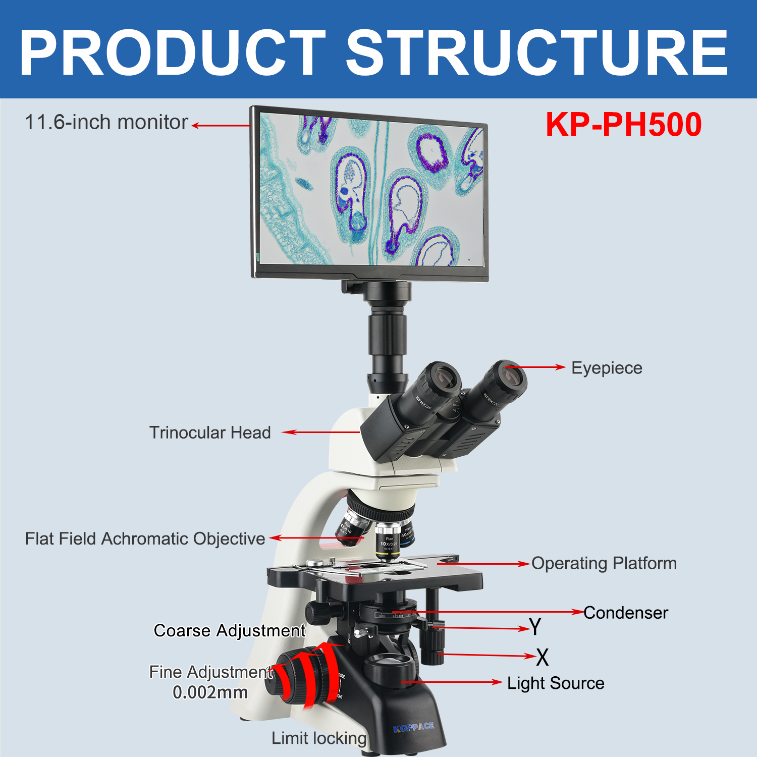 KOPPACE 40X-1600X Electron Com - огляд і ціна Microscope Compound 40X