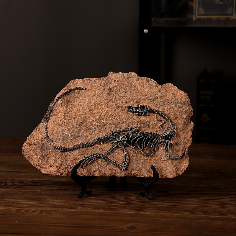 ‌Realistic Dinosaur Fossil Rep - огляд і ціна Fossil Replica Display