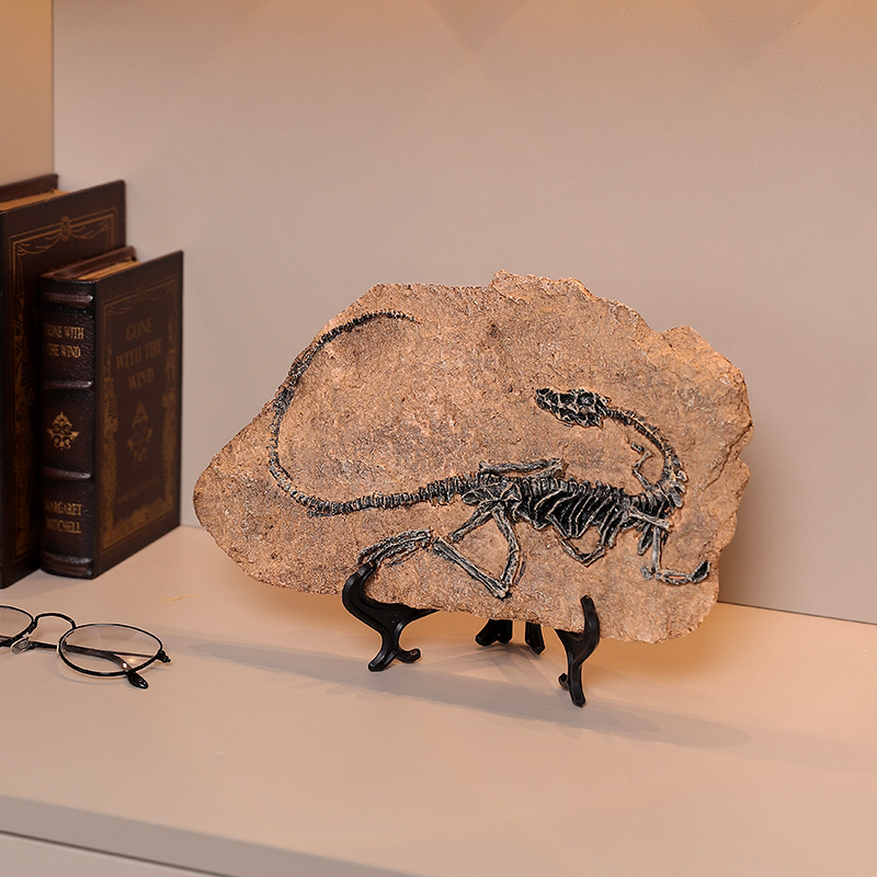 ‌Realistic Dinosaur Fossil Rep - огляд і ціна Fossil Replica Display