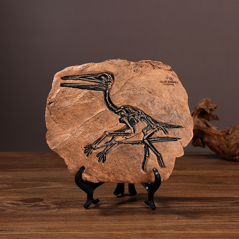 ‌Realistic Dinosaur Fossil Rep - огляд і ціна Fossil Replica Display