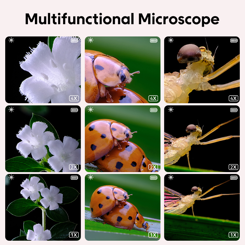 Mini Kids Optical Microscope W - огляд і ціна Science Max